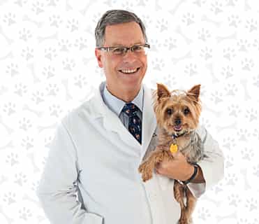“Ask Ariel has natural remedies and diet suggestions that can be effectively combined with conventional veterinary care provided at a veterinary hospital. Over the years, many of the veterinary patients I have treated have benefited from Ask Ariel's holistic pet supplements.”